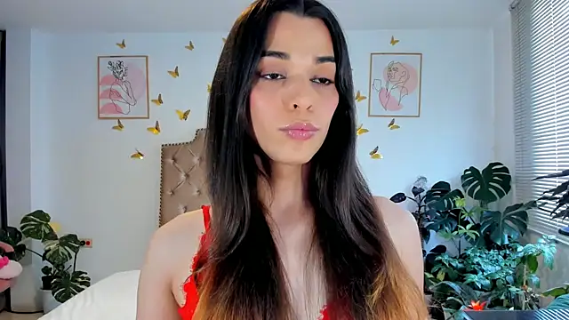 Snapshot of bella_grego chatting on June 2026 05:41:02 PM bella grego online show from June 2026 05:41:02 PM