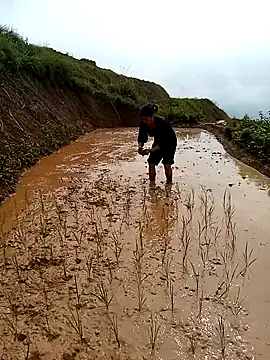 LucyBri01 online show from April 2026 02:03:02 AM