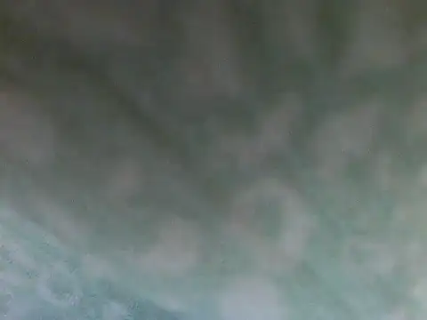 Short-V online show from April 2026 08:11:01 PM