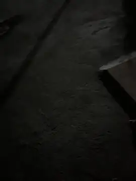 boyz toyz online show from April 2026 03:25:02 PM