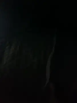 Flaco xdx online show from April 2026 10:22:02 AM