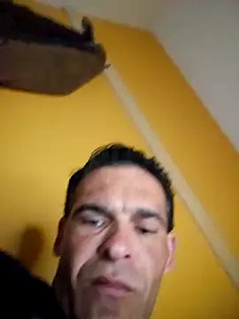 Shsaaeq online show from April 2026 08:09:02 PM