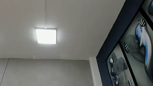 Charlie   Musk online show from July 2026 11:18:02 AM