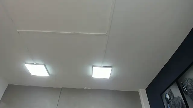 Charlie   Musk online show from June 2026 11:27:01 AM