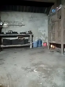 phuongtrinh1 online show from June 2026 01:39:02 PM