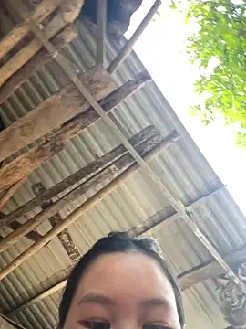 Swan 69 online show from April 2026 10:00:02 AM