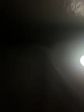 DICK5016 online show from April 2026 01:50:01 PM