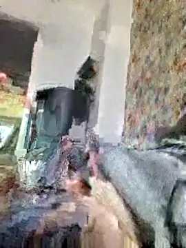 bellequeue147 online show from April 2026 10:55:02 AM