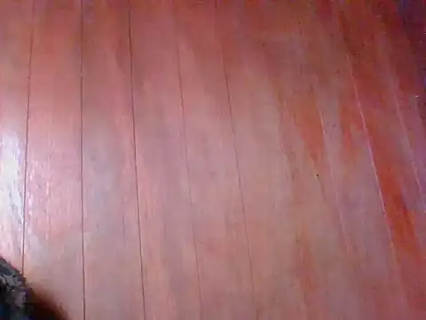 Annisof online show from April 2026 01:41:02 PM