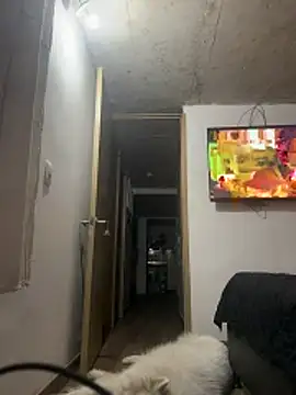 fresdyhot online show from April 2026 05:42:02 AM