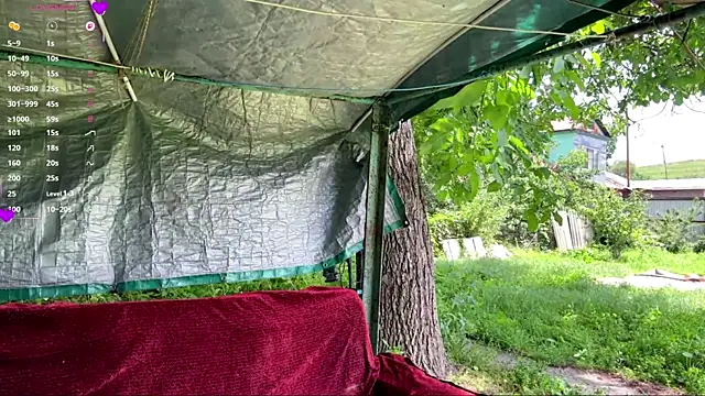 AlberthaBudd online show from June 2026 05:51:02 AM