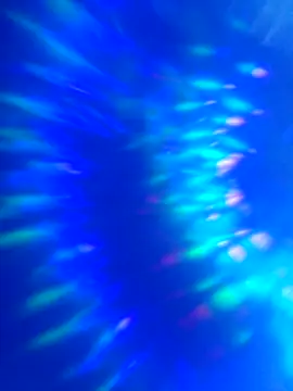 world6kingsss online show from April 2026 09:05:01 PM