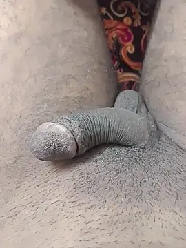 desibullboybd online show from May 2026 01:41:01 PM