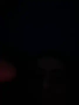 eu marko online show from April 2026 05:09:01 PM