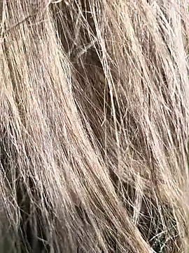 erikthor online show from June 2026 08:14:01 PM