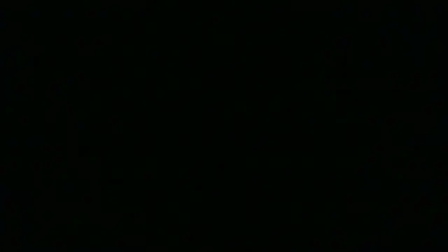 SamuelTal online show from May 2026 04:49:02 PM