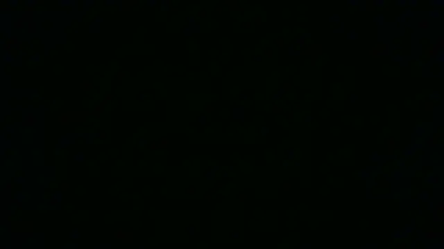 SamuelTal online show from May 2026 07:43:01 PM