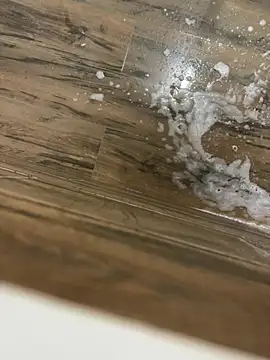 bfs130 online show from April 2026 10:27:01 PM