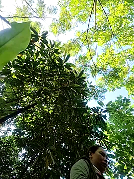 Banana-zz online show from May 2026 11:36:02 PM