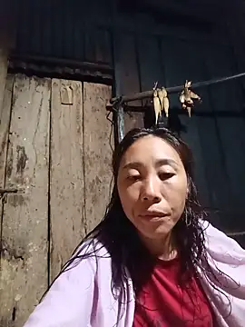 Jinli 01 online show from May 2026 12:55:02 PM