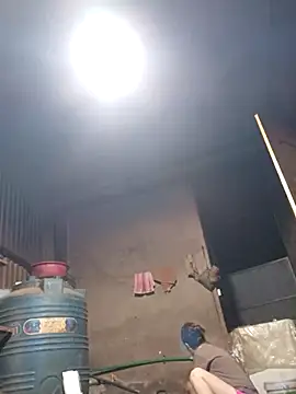 Jinli 01 online show from May 2026 09:37:02 PM