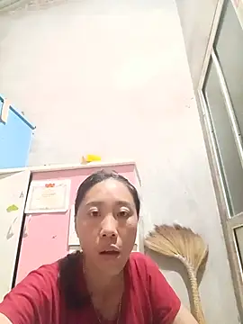 Jinli 01 online show from June 2026 11:44:02 AM
