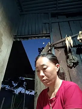 Jinli 01 online show from May 2026 12:13:02 PM
