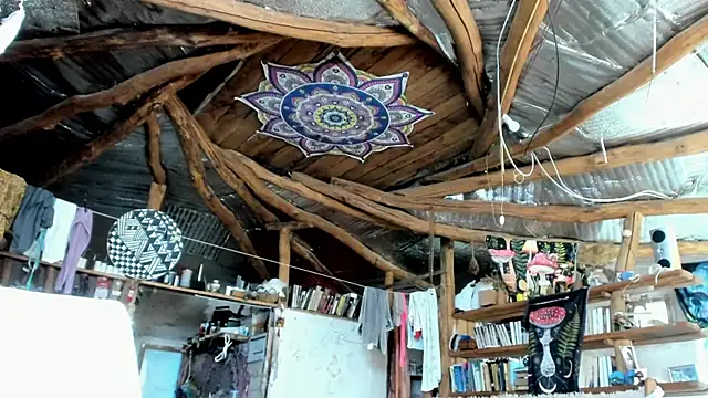 wildforestmuse  online show from July 2026 06:31:02 AM