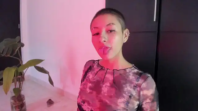 vandalovee  online show from June 2026 02:48:02 PM