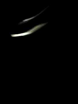 lucaspauzudo online show from August 2026 05:14:01 AM