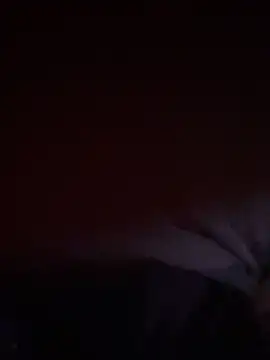 CowboyCock5569 online show from May 2026 08:01:02 PM