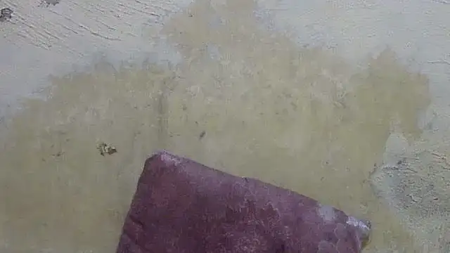 tencum online show from July 2026 09:18:01 PM