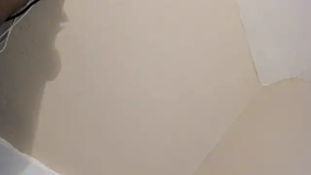 babypie2000 online show from June 2026 12:50:02 PM