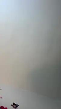 Snapshot of Eilicarver chatting on July 2026 12:43:01 PM Eilicarver online show from July 2026 12:43:01 PM