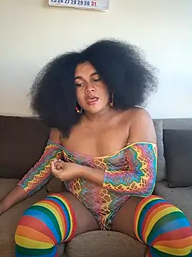 afrodani online show from May 2026 08:29:02 PM