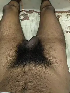 adorednorthh online show from July 2026 04:57:01 PM