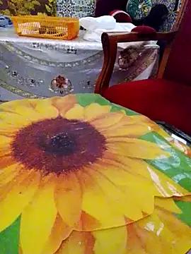 LonesomeMegawatt online show from June 2026 12:05:02 PM