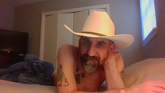 old Domino online show from May 2026 02:56:02 PM