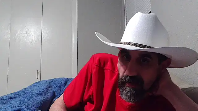 Snapshot of old_Domino chatting on June 2026 08:41:02 AM old Domino online show from June 2026 08:41:02 AM