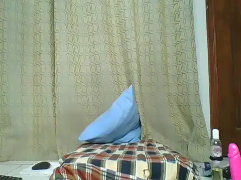 Snapshot of Dixie_driver1 chatting on June 2026 01:11:02 AM Dixie driver1 online show from June 2026 01:11:02 AM