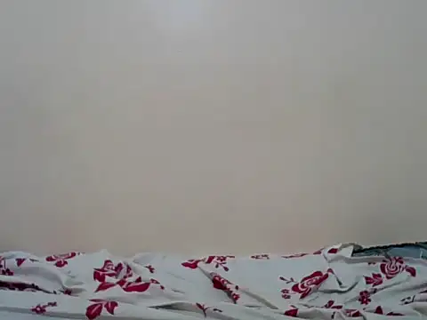 Hornysmoker20 online show from July 2026 06:47:02 AM