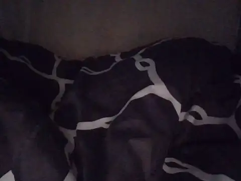 fatpusy002 online show from June 2026 03:45:02 AM