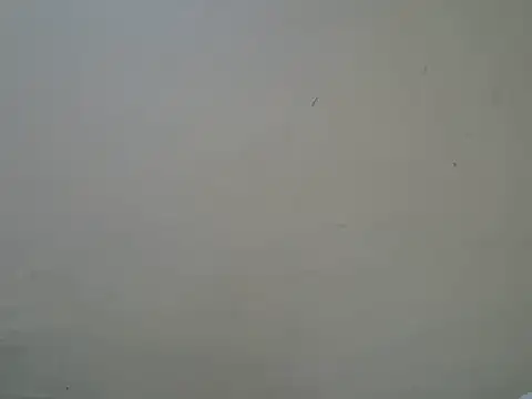 Talishabae online show from June 2026 06:38:01 PM