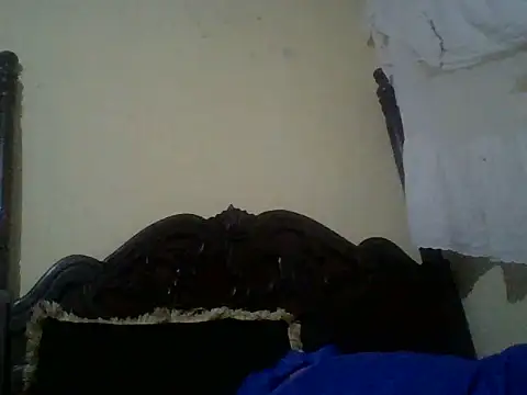 Snapshot of scatia chatting on June 2026 03:04:01 AM scatia online show from June 2026 03:04:01 AM