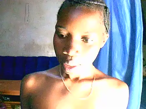 Prickly ebony online show from May 2026 04:17:02 PM