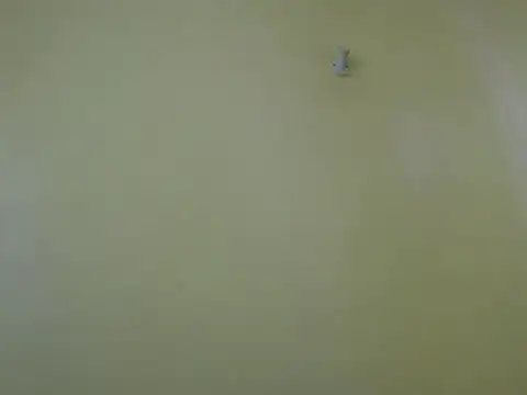 Cuteebony16 online show from June 2026 01:05:02 PM