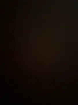 stecher 95- online show from June 2026 11:49:01 AM