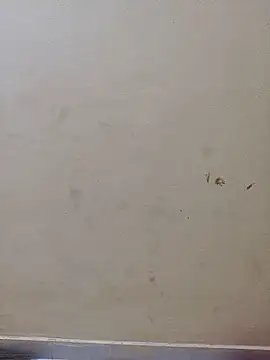 Snapshot of Tanu6868 chatting on May 2026 04:45:01 PM Tanu6868 online show from May 2026 04:45:01 PM