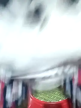 Bong sexy online show from June 2026 11:21:02 AM