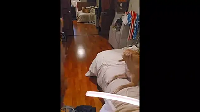 Clevername90 online show from October 2025 01:50:01 AM